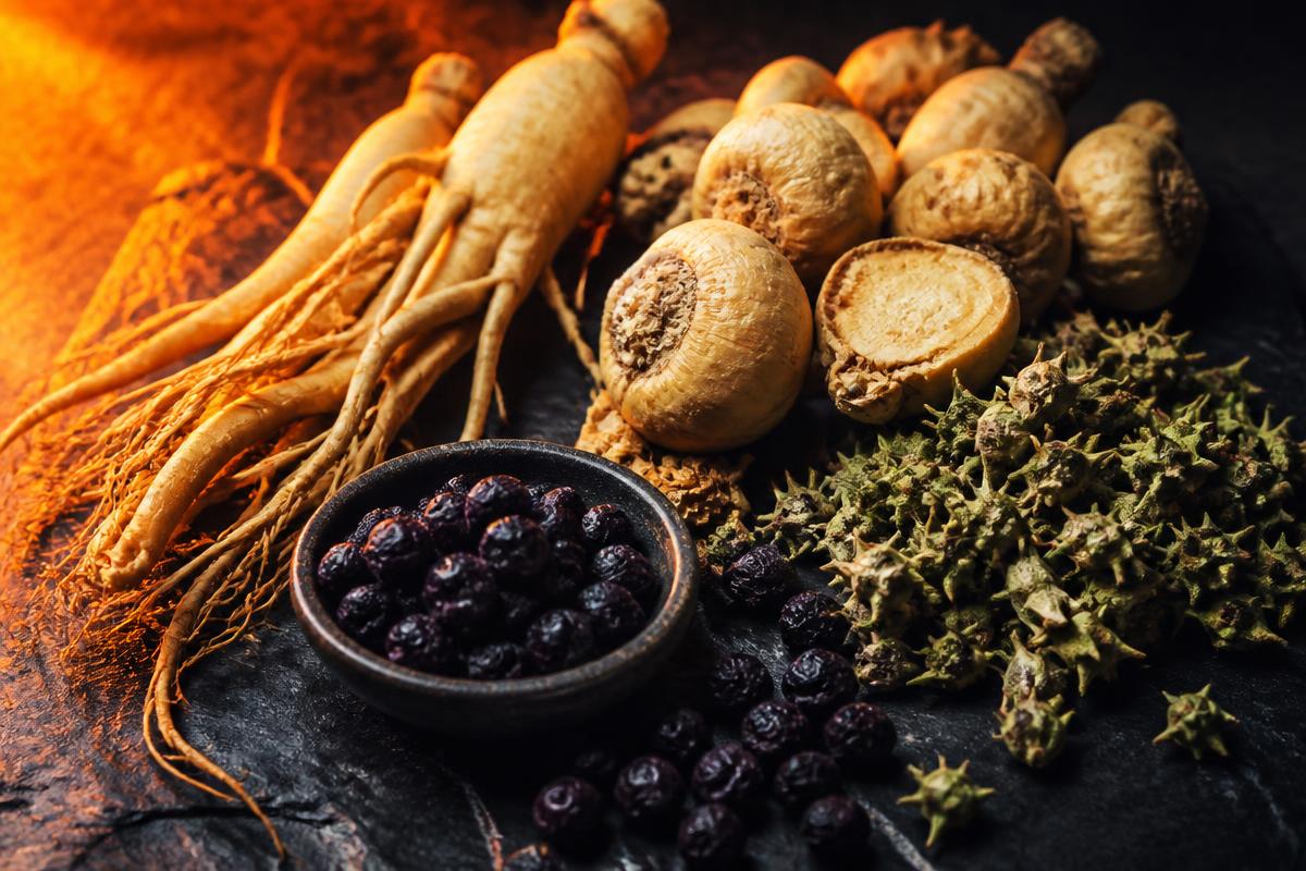 Natural herbal ingredients: ginseng, maca root, tribulus